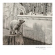 Julien Marchal - Insight XVI