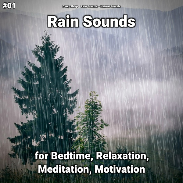 Deep Sleep, Rain Sounds, Nature Sounds - Delightful Rain Sounds