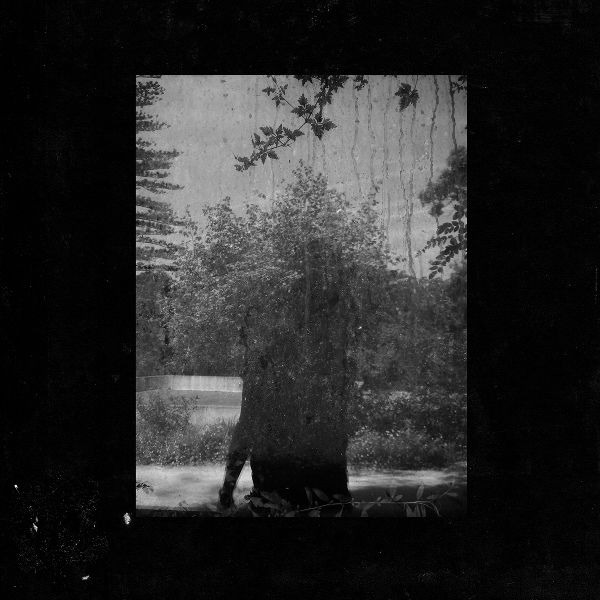 Grouper - Made of Air