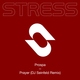 Prospa - Prayer (DJ Seinfeld Remix) (DJ Seinfeld Remix)
