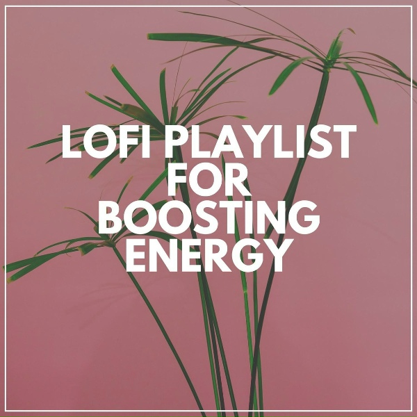 SlowFi Beats