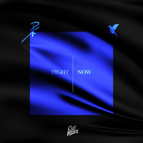 Nurko, Misdom - Right Now