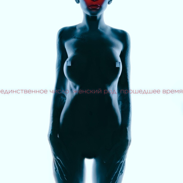 Брутто - N21