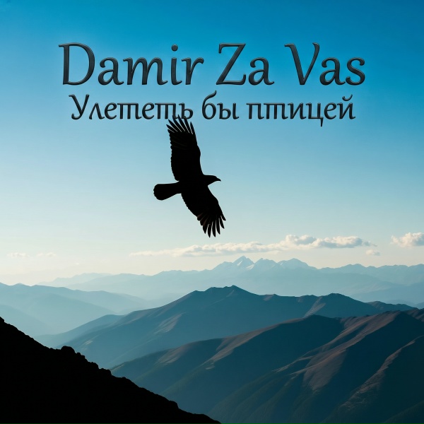 Damir Za Vas