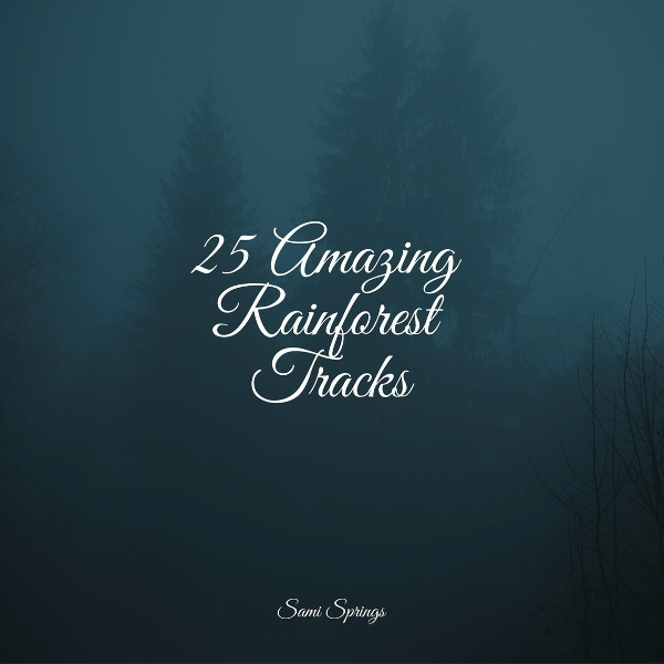 Rain Sounds, Dr. Meditation, Soothing Baby Music - Rain in the Jungle
