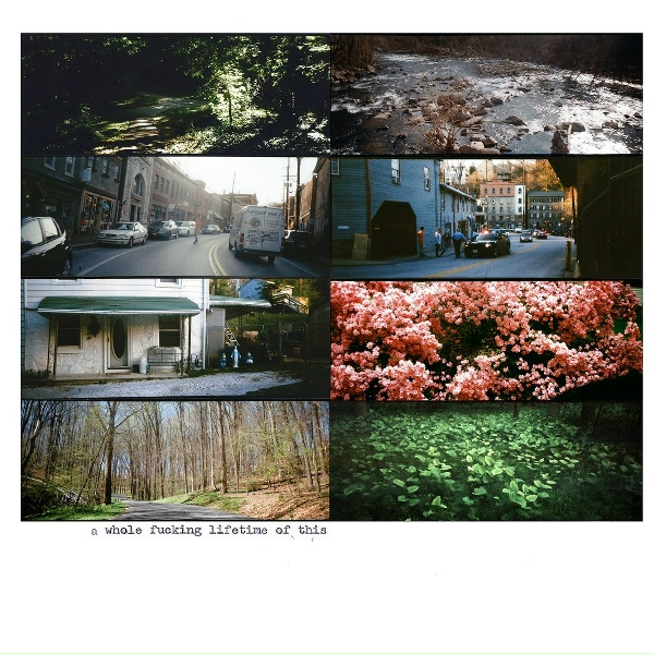 American Pleasure Club, Teen Suicide - this is heaven & id die for it