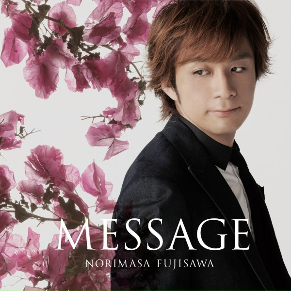 Norimasa Fujisawa - RAISE VEIL