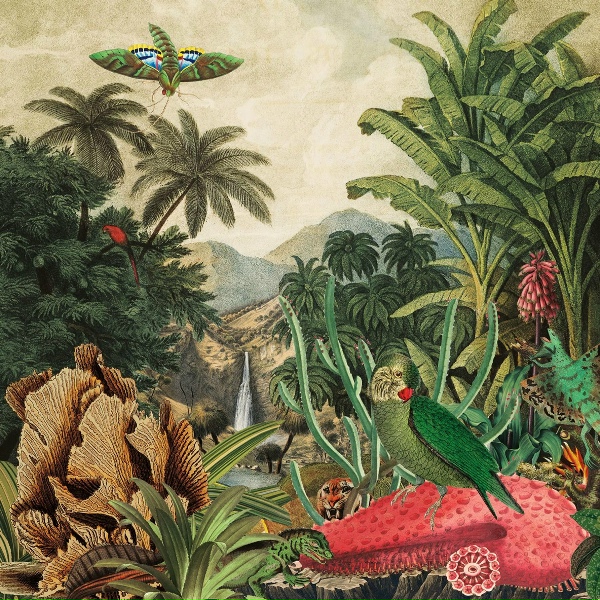 LAGOSS - Chiquinquir&aacute;