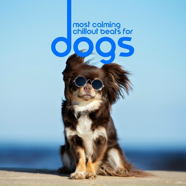 Dj Keep Calm 4U, Chillout Music Whole World - The Classic Chillout