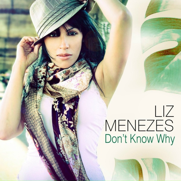 Liz Menezes - Rhythm of the Night