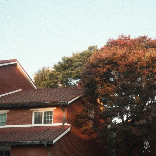 The Piano Forest - Bye again today