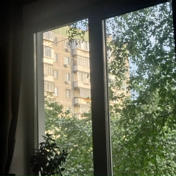 кодокуна - интро