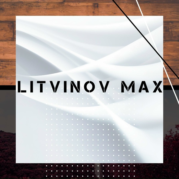 Litvinov Max - Snow