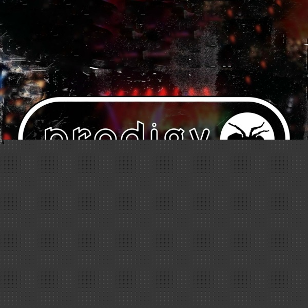 The Prodigy - Their Law
