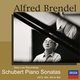 Alfred Brendel - 2. Andante sostenuto (Live) (Live)