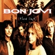 Bon Jovi - If That's What It Takes (Album Version) (Album Version)