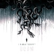 [AMATORY] feat. BOGUE
