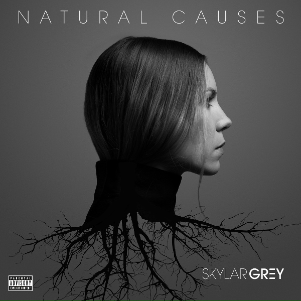 Skylar Grey feat. Eminem - Kill For You