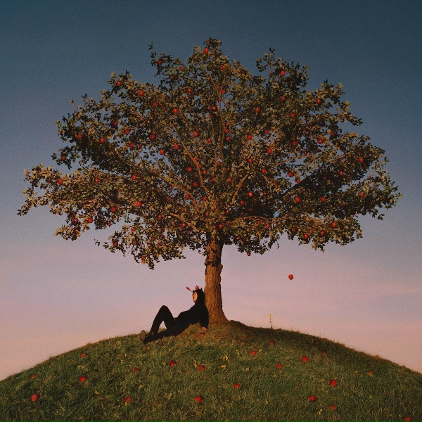 slowthai - PLAY WITH FIRE
