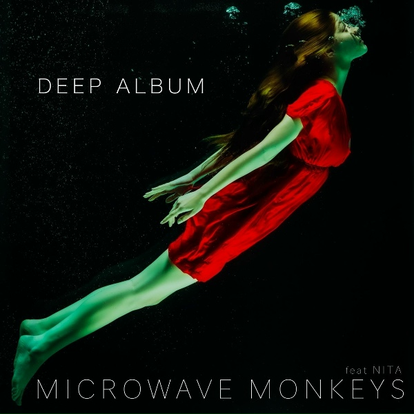 Microwave Monkeys feat. Nita - I've Been Thinking About You