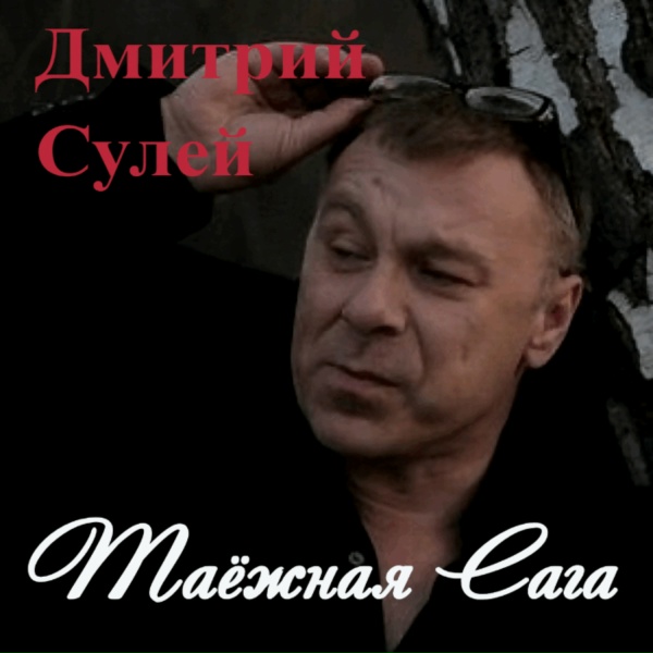 Дмитрий Сулей - Полярная сова