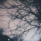 Anna Rose Carter, Pleq - My Piano Is Broken