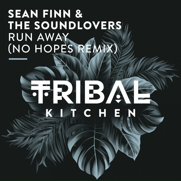Sean Finn, The Soundlovers