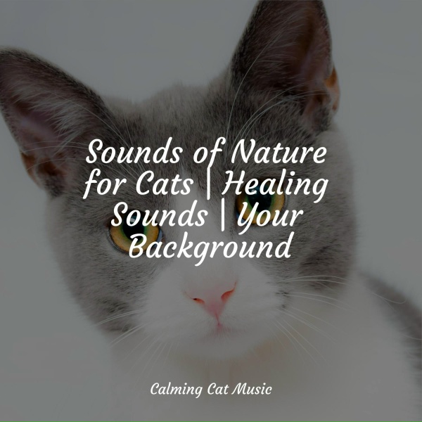 Jazz Music Therapy For Cats, Music for Cats Deluxe, RelaxMyCat - Spirit Awakening