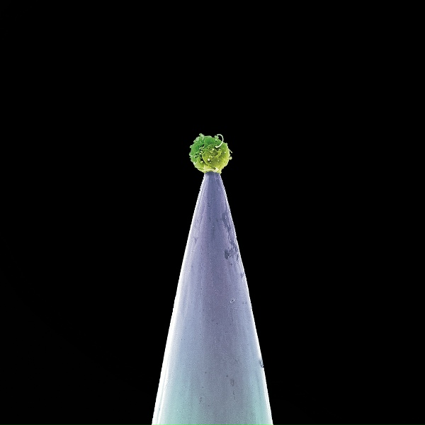 Peter Gabriel feat. Ane Brun