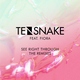 Tensnake feat. Fiora - 58 BPM (Toddsnake Remix) (Toddsnake Remix)