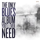 Sonny Terry, Brownie McGhee - Mean Old Frisco