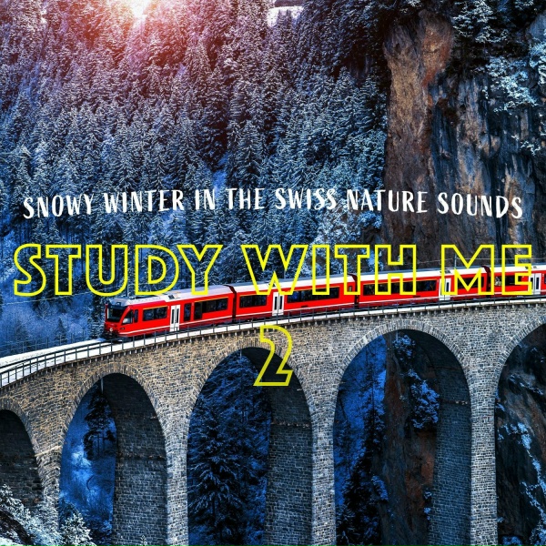 Bryan Maxwell - Snowy Winter in the Swiss Nature Sounds, Pt. 7