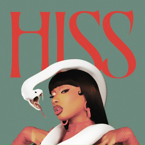Megan Thee Stallion - HISS (DJ Edit)