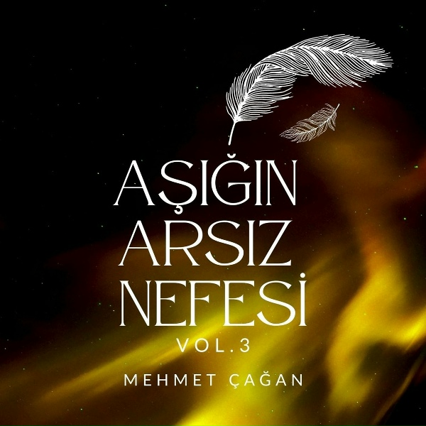 Mehmet &Ccedil;ağan, B&uuml;lent Emin Yarar, Uğur Taşdemir, Barış Taşkın, Can Doğan - Mecbur Musun?