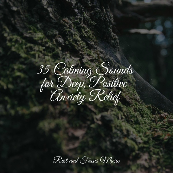 Study Music, M&uacute;sica Zen Relaxante, Meditation Music Club - Sound of Love