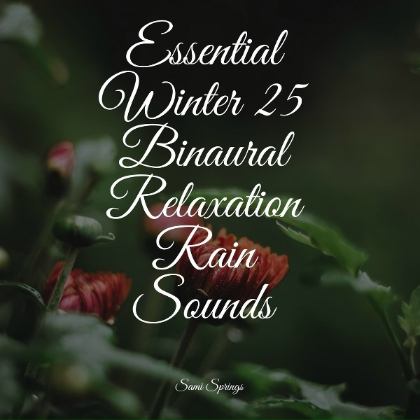 Nature Sounds, Wave Sound Group, Massagem Cole&ccedil;&atilde;o de M&uacute;sicas - Waves, Dock, Lapping, Calm