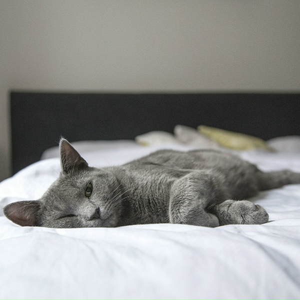 Massage Music, Bedtime Baby, Yoga Tribe - Mindful Focus