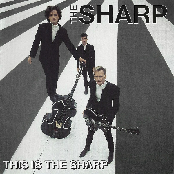 The Sharp - Dark Sunglasses