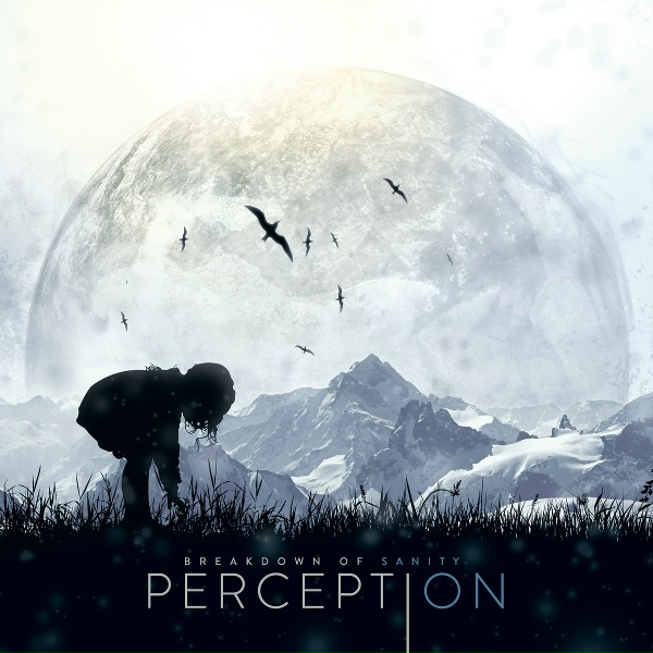 Breakdown of Sanity - Perception