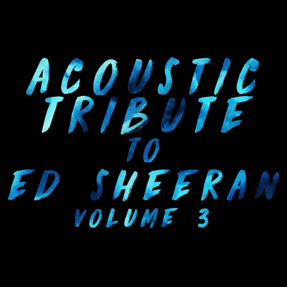 Guitar Tribute Players - Shape of You