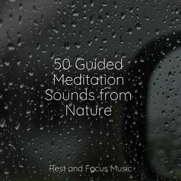 Calming Sounds, Relax Meditation Sleep, Music for Absolute Sleep - Start of Eternity