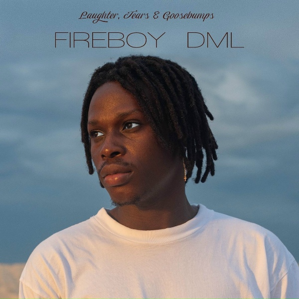 Fireboy DML - What If I Say