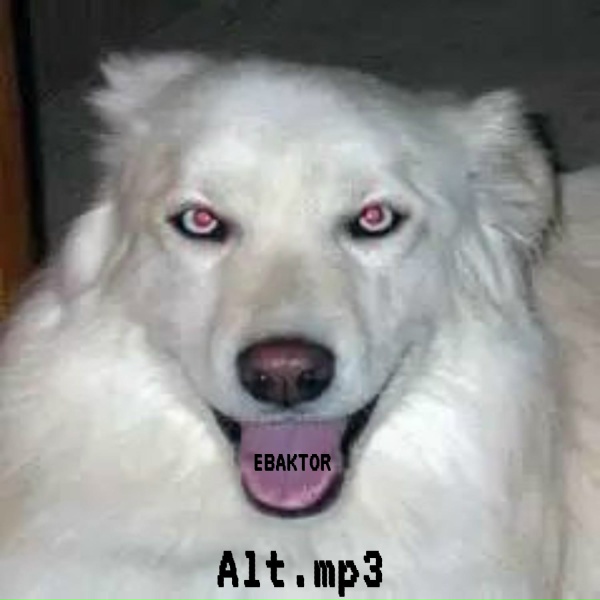 EBAKTOR - Адреналин