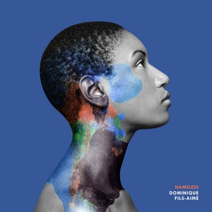 Dominique Fils-Aim&eacute; - Unstated