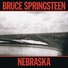 Bruce Springsteen - Highway Patrolman
