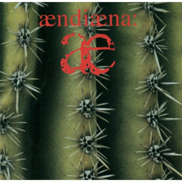 AENDIAENA - Keep on Waiting