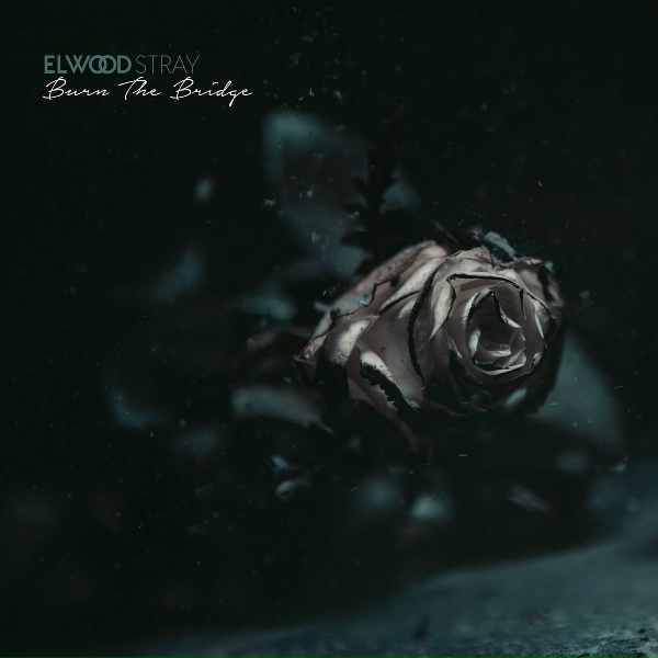 Elwood Stray feat. Henning Begemann - Reset.