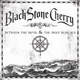 Black Stone Cherry - Let Me See You Shake