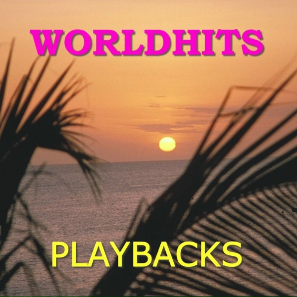 The Magic Orchestra - SUMMER DREAMING - BACCARDI SONG - Playback - Karaoke