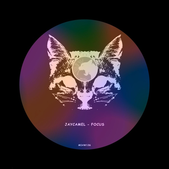 JayCamel - Baby